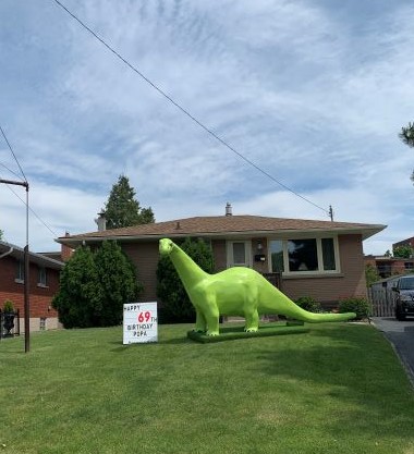 Dinosaur lawn